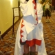 awc20120009