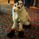 expcon0007