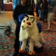 expcon0008
