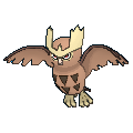 Noctowl