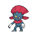 Weavile