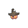 Pumpkaboo