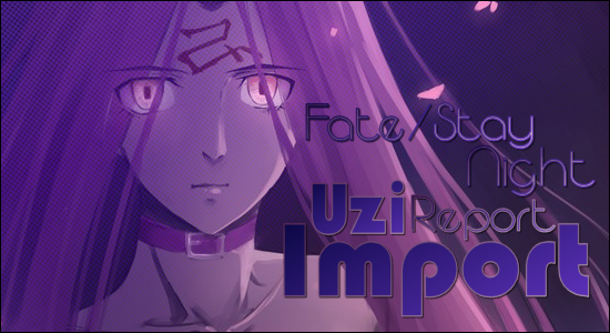 Uzi Import Report FateStay Night