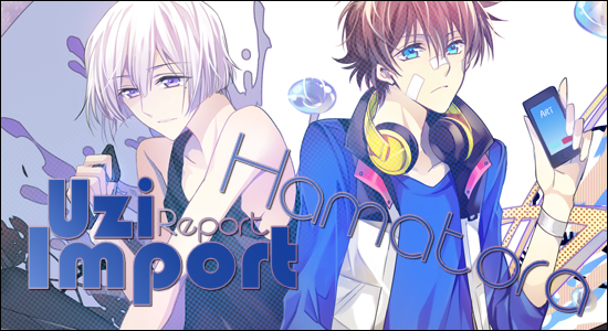 Uzi Import Report Hamatora