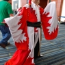 animazement0095