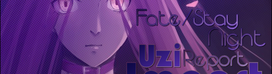 The Uzi Import Report: Fate/Stay Night (2014)